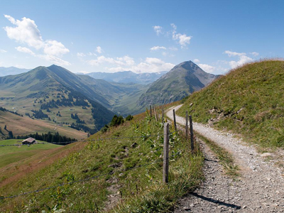 07.16-Rinderberg Hornberg Schonried (2)