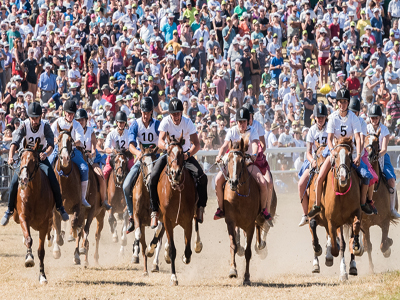 08.09-Marché concours de Saignelégier (3)