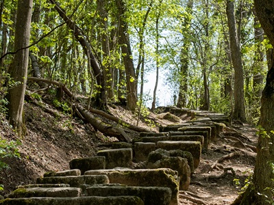 09.01-Le Mont Saleve (F) (2)