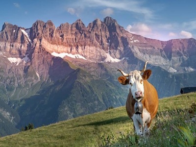 10.20-Galerie Defago à Champéry avec brisolée (1)